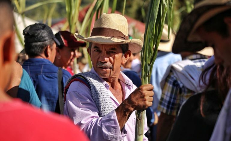 «Triunfo para la Tradición: Gobierno de Carlos Amaya Celebra Rechazo de Patente a la Panela y Compromete Apoyo al Sector